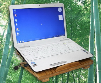 Evergreen DN-84683